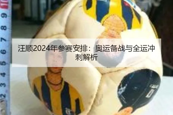汪顺2024年参赛安排：奥运备战与全运冲刺解析